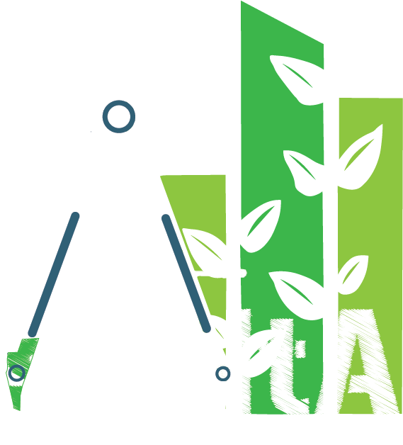 Shelta Logo